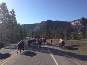 132731_10203995383115087_6808394502384122125_o