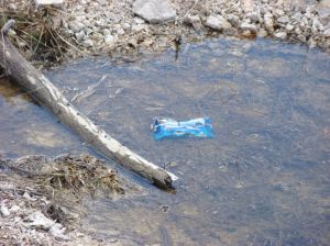 It took nature millions of years to make this view?  I can ruin it in five seconds!