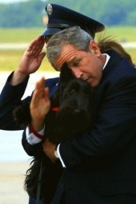 At least the dog isn't in the same arm, right?